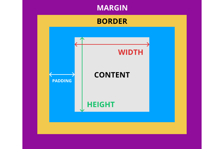 The margin surrounds the rest of the box, and separates it from other boxes.