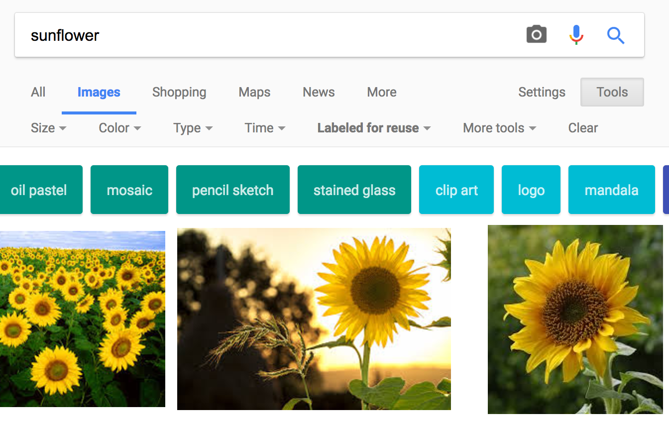 Image retrieval; searching for images of  a "sunflower"