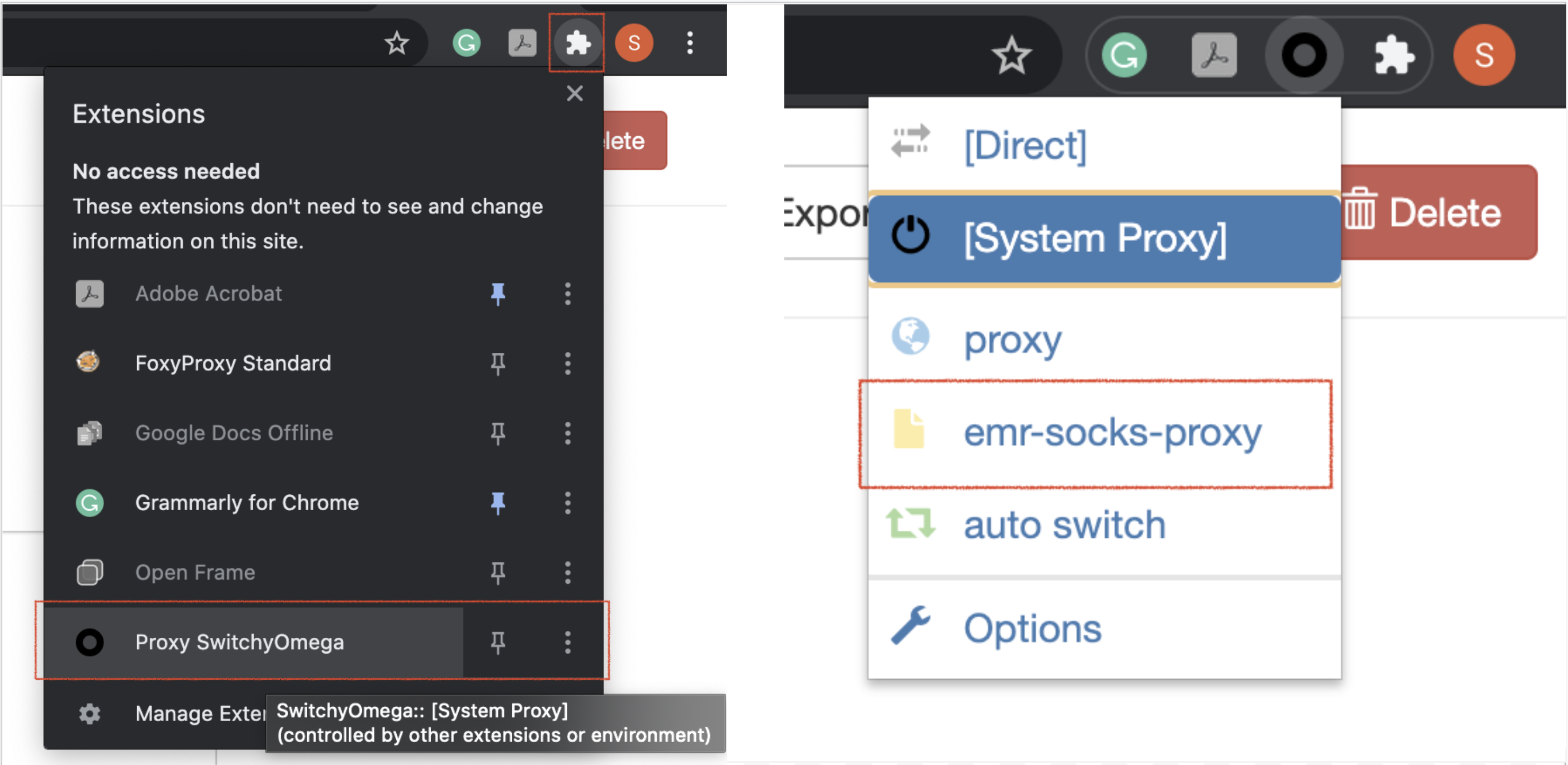 Enable the new SwitchyOmega profile