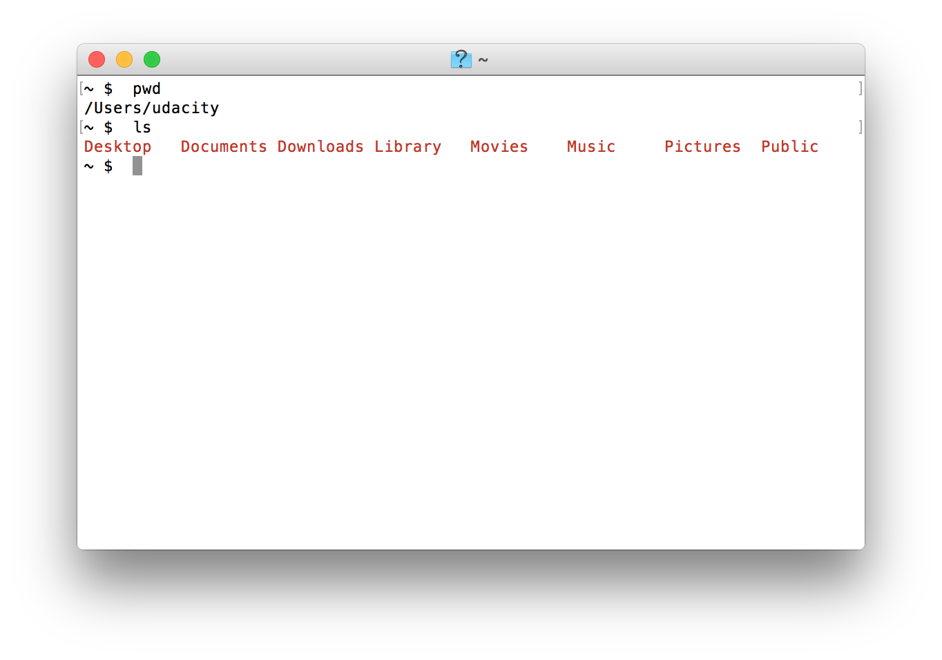 Using the `ls` command.