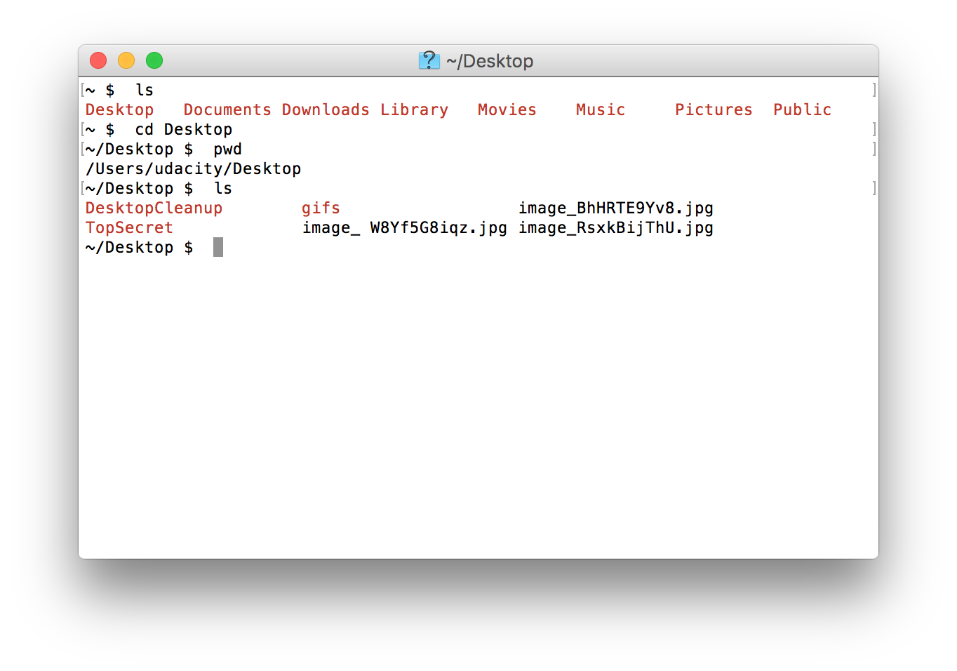 Using the `ls` command to list the contents of the new working directory (`Desktop`).