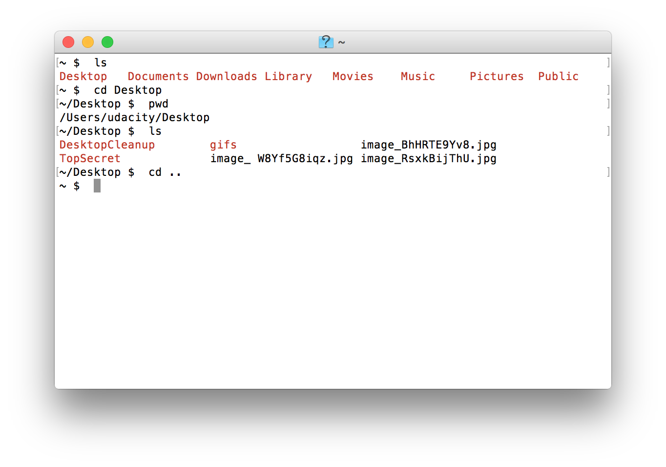 Using the `cd ..` command to move up to our current location's parent directory.