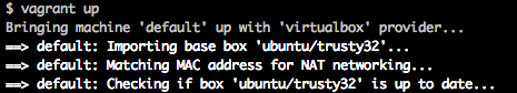 _Starting the Ubuntu Linux installation with `vagrant up`._  
_This screenshot shows just the beginning of many, many pages of output in a lot of colors._