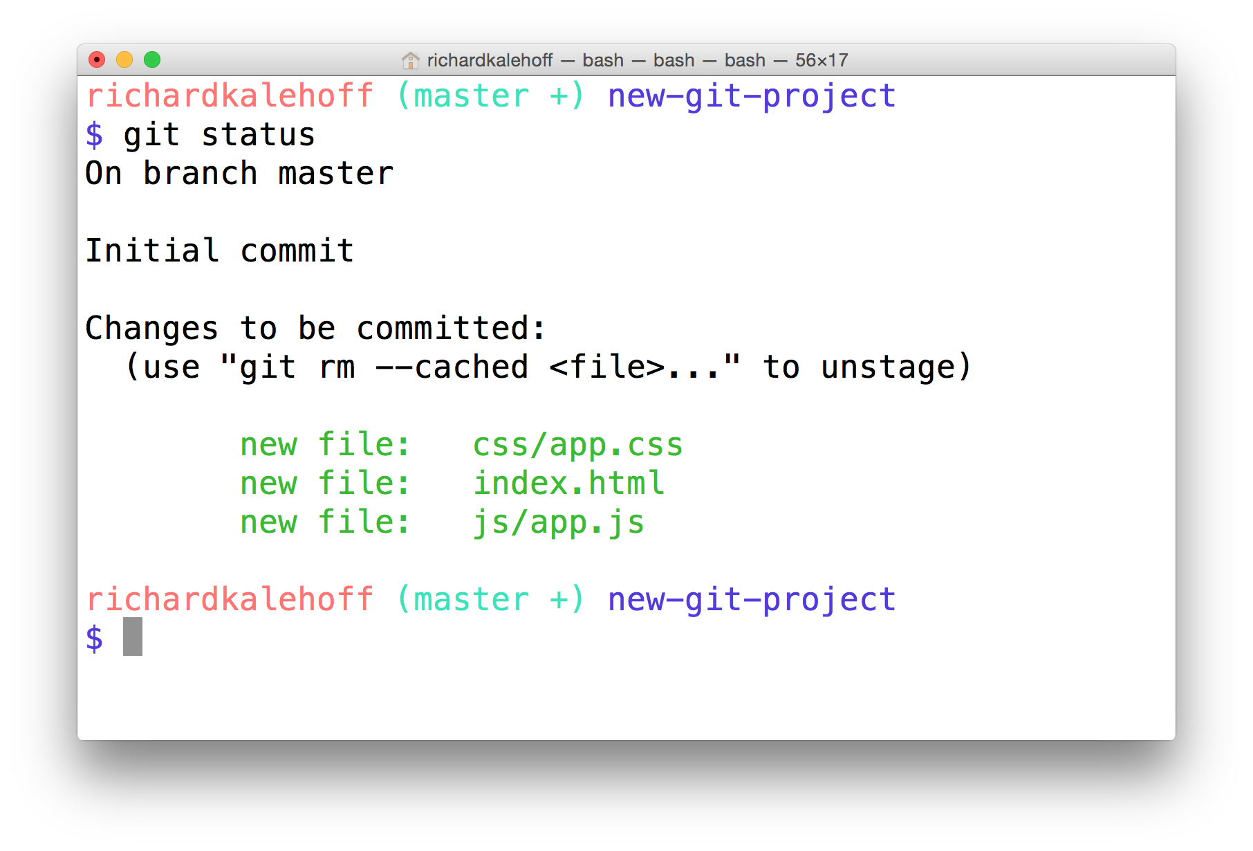 _The Terminal application shows that the index.html, css/app.css, and js/app.js have been staged and are ready to be committed._