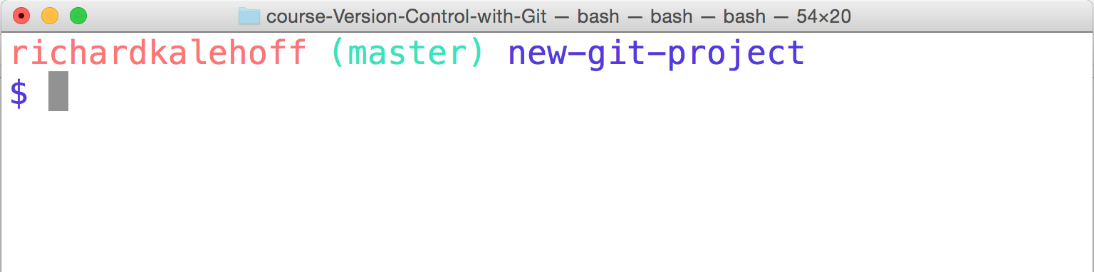 _The Terminal application showing the current branch in the command prompt. The current branch is the "master" branch._