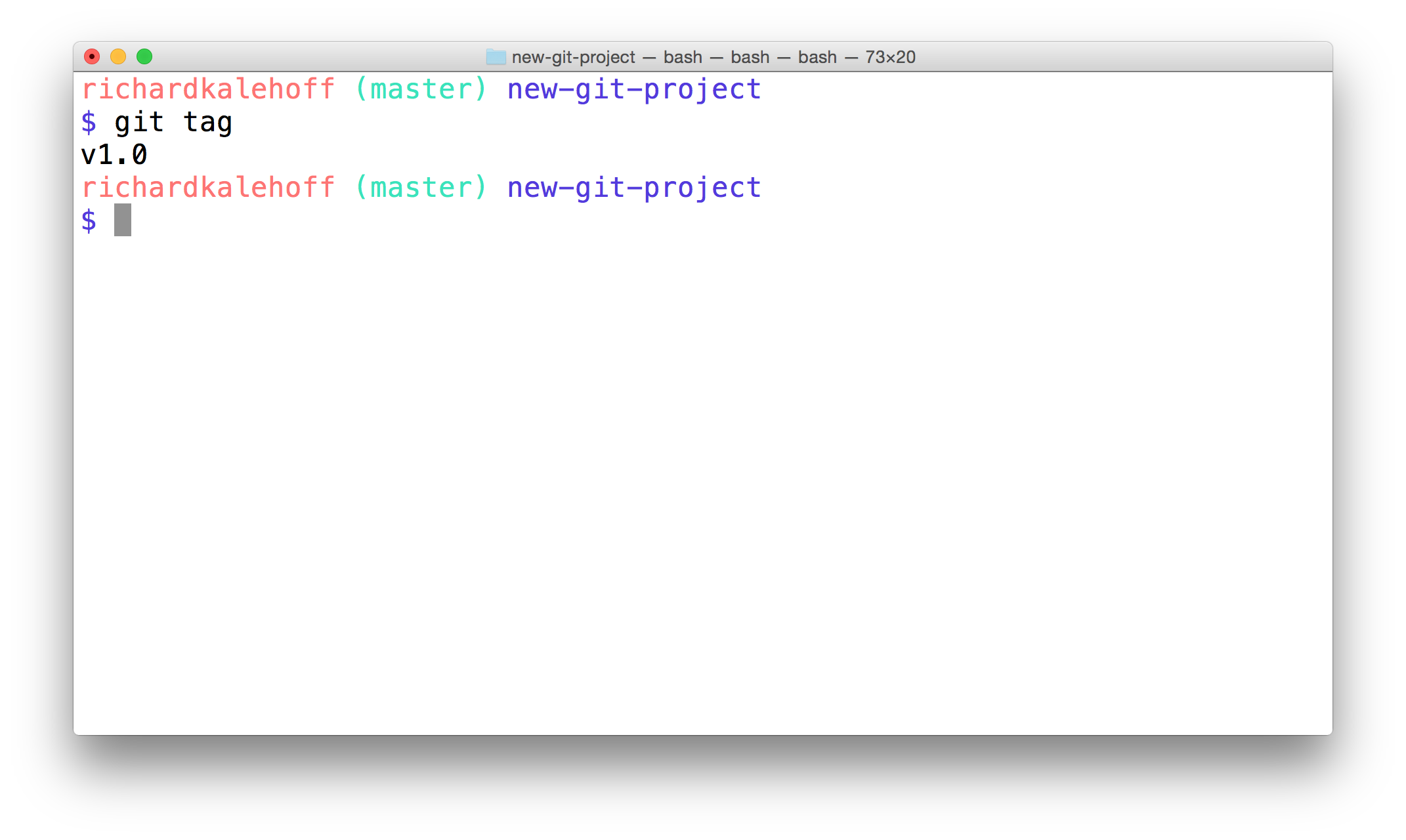 _The Terminal application showing the output of the `git tag` command. The tag `v1.0` is listed._