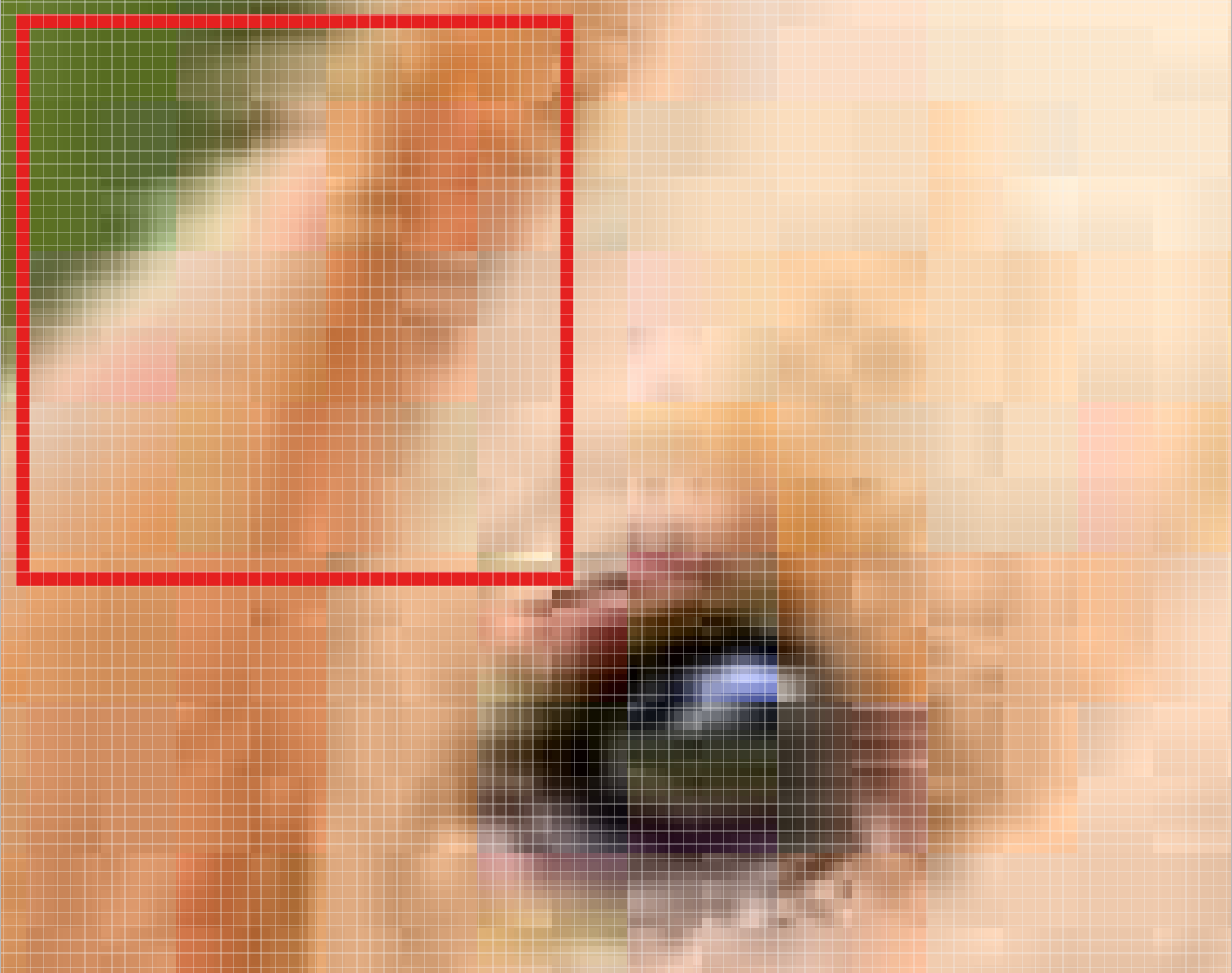 One patch of the Golden Retriever image.