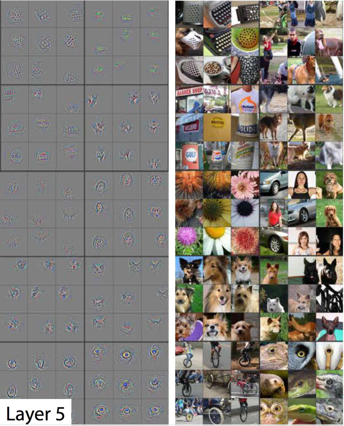 A visualization of the fifth and final layer of the CNN. The gray grid on the left represents how this layer of the CNN activates (or "what it sees") based on the corresponding images from the grid on the right.