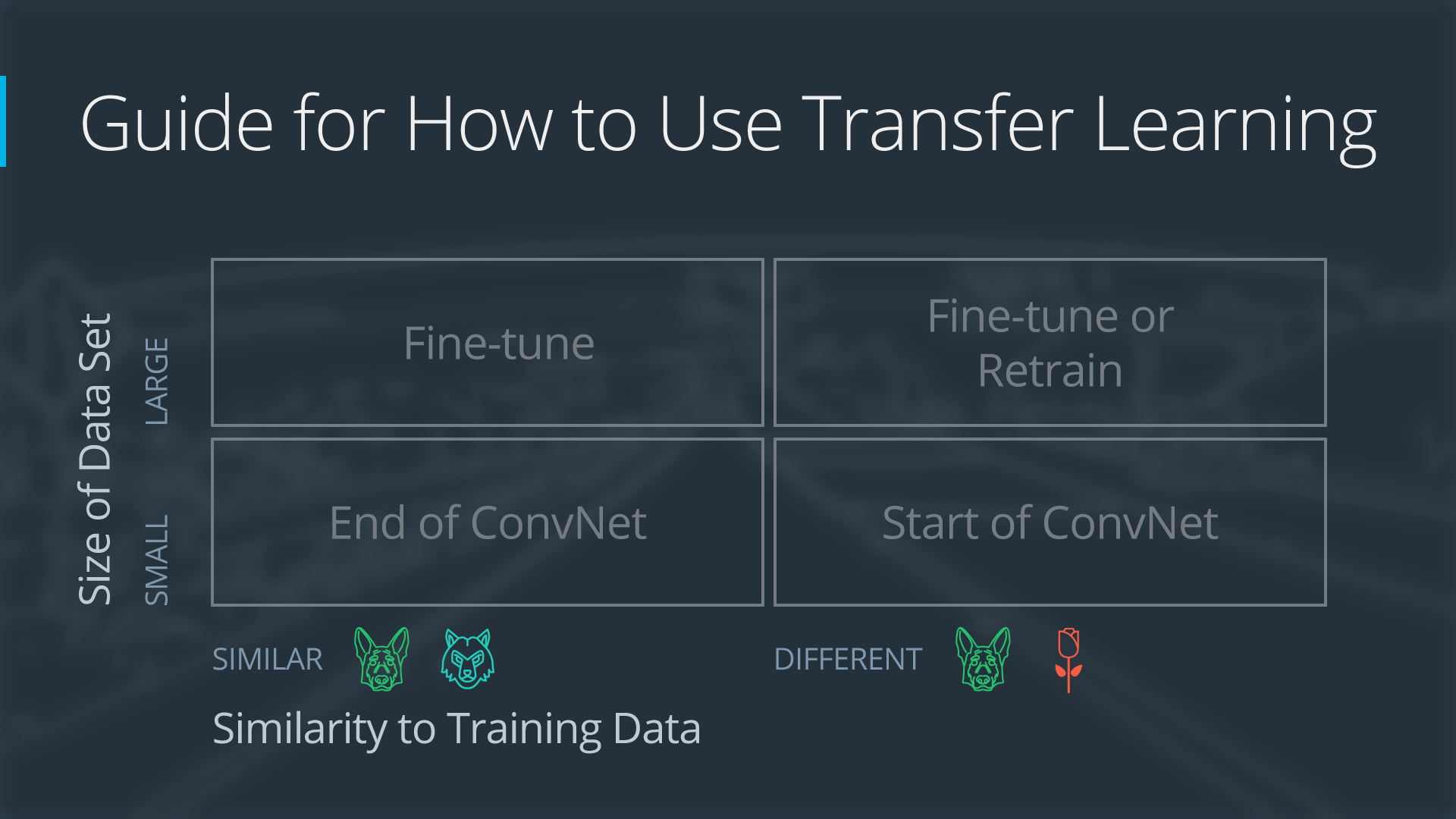 Four Cases When Using Transfer Learning