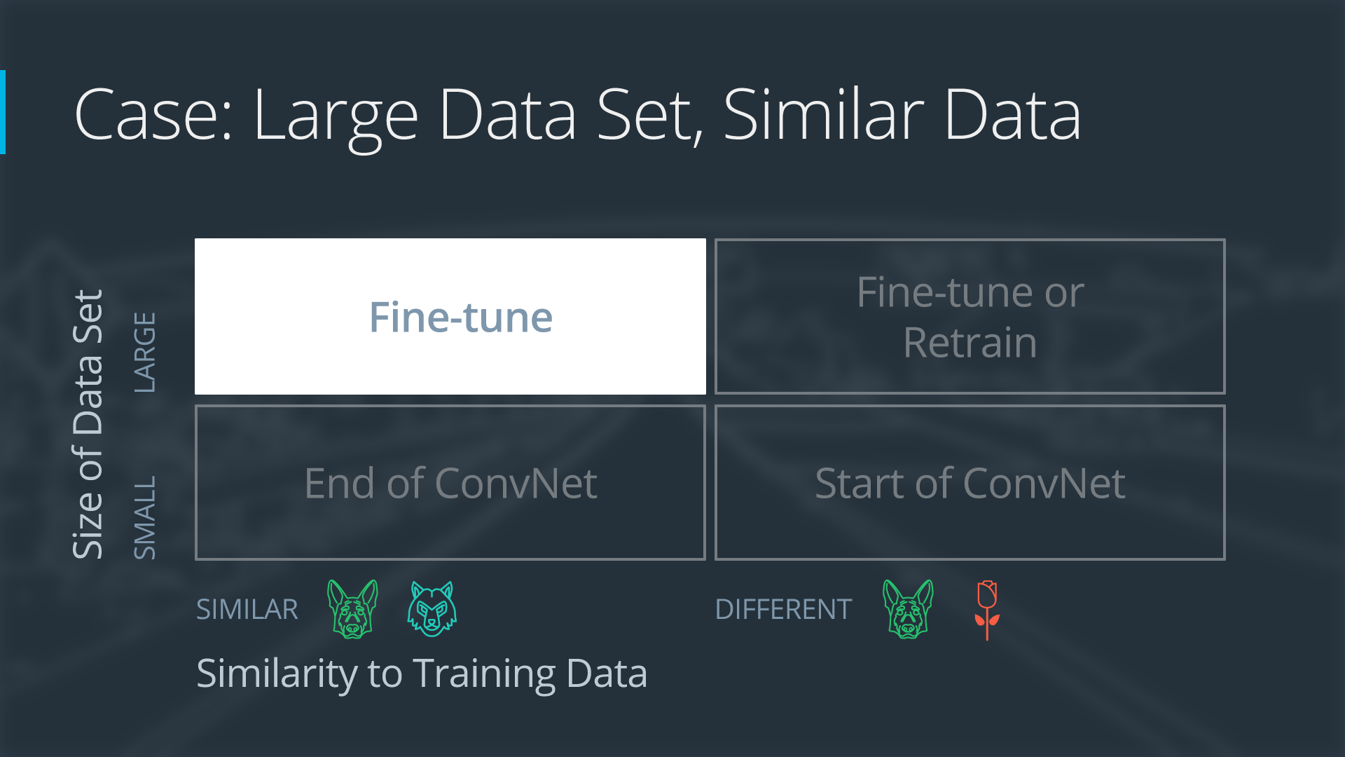 Case 3: Large Data Set, Similar Data