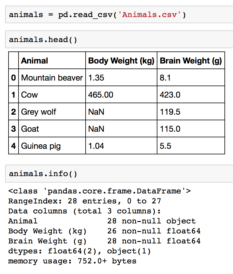 pandas' `info` method in action on a DataFrame called *animals*