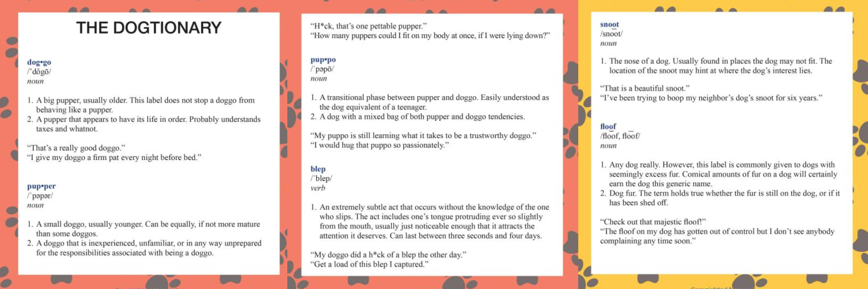 *The Dogtionary explains the various stages of dog: doggo, pupper, puppo, and floof(er) (via the [#WeRateDogs book](https://www.amazon.com/WeRateDogs-Most-Hilarious-Adorable-Youve/dp/1510717145) on Amazon)*