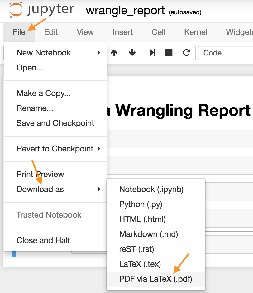 *Download Jupyter Notebook in PDF form*