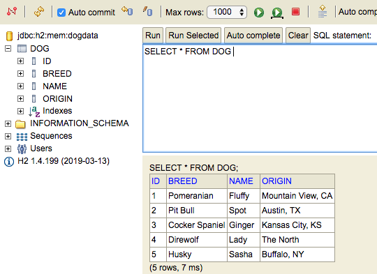 The H2 "Run" query showing the dogs added to `data.sql`