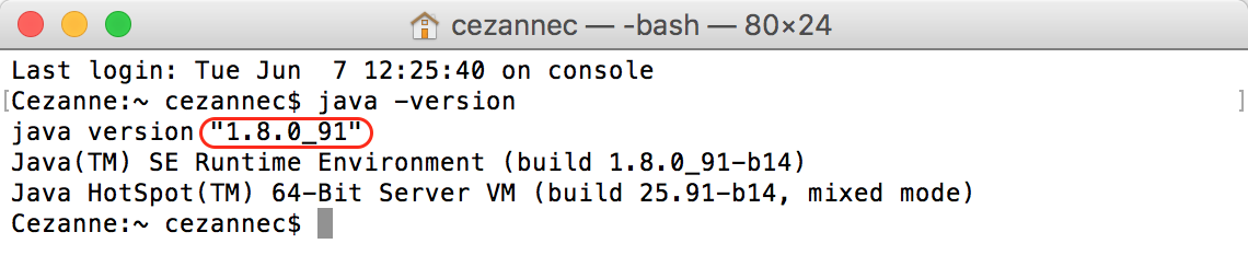 terminal java -version image