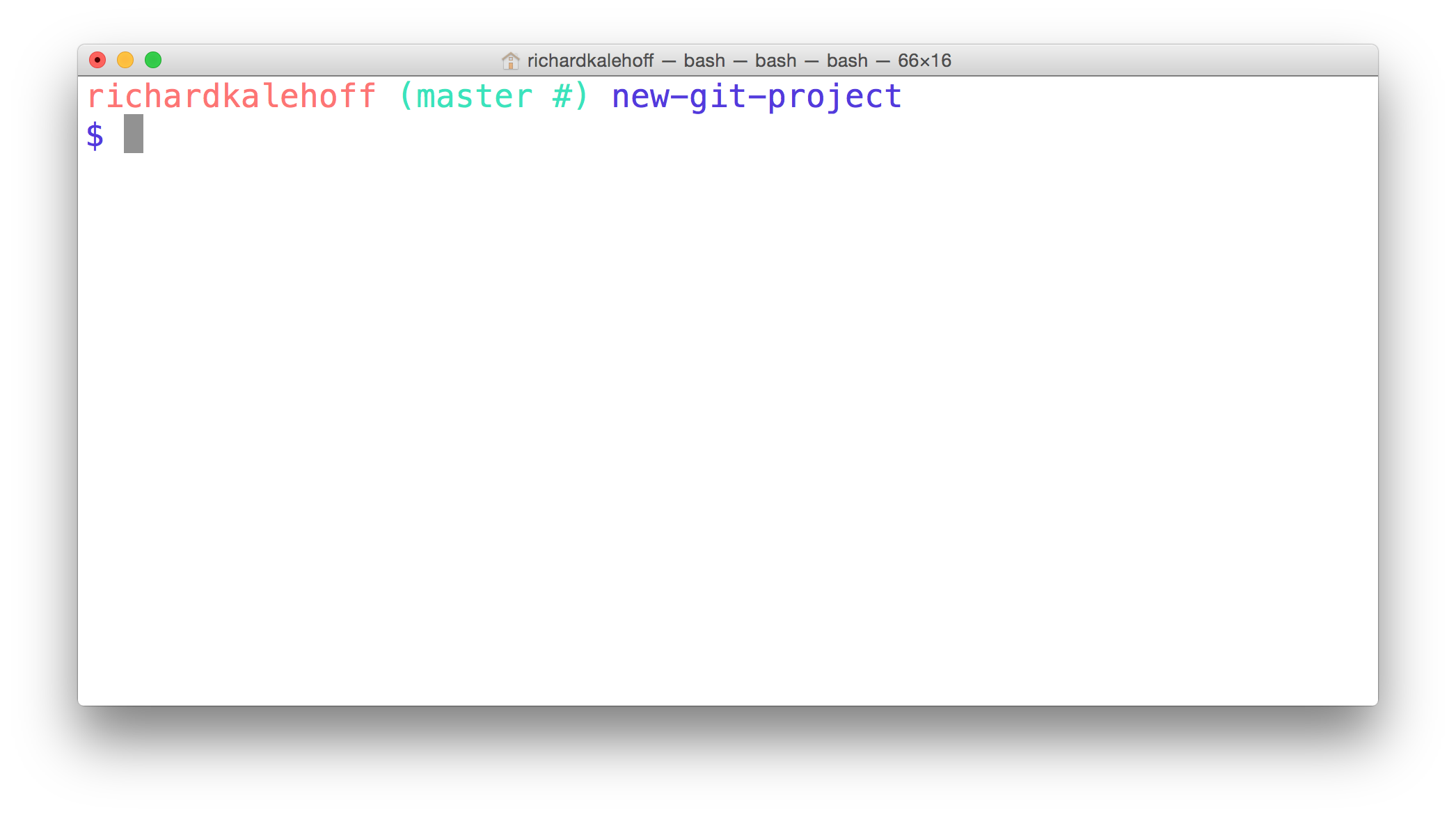 _The Terminal application in the new-git-project directory._