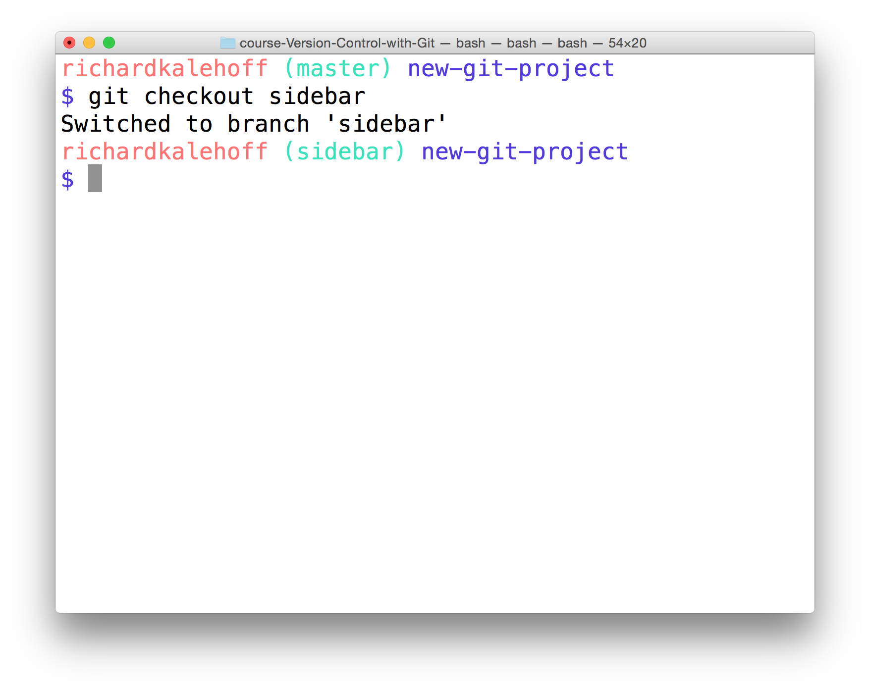 _The Terminal application showing the "sidebar" branch in the command prompt._