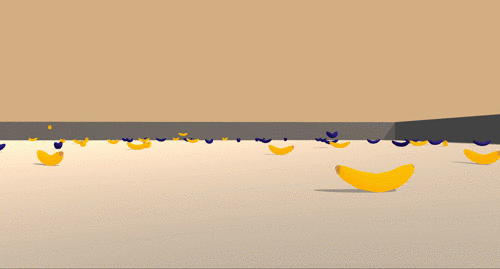 In Project 1, you will train an agent to collect yellow bananas while avoiding blue bananas.