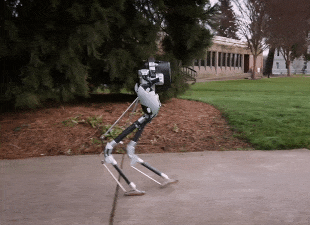How might we use [reinforcement learning](https://arxiv.org/pdf/1803.05580.pdf) to teach a robot to walk? ([Source](https://spectrum.ieee.org/automaton/robotics/industrial-robots/agility-robotics-introduces-cassie-a-dynamic-and-talented-robot-delivery-ostrich))