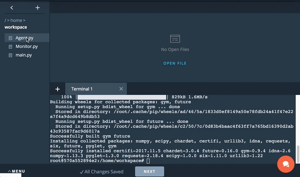 Open `agent.py`, `Monitor.py`, and `main.py`.