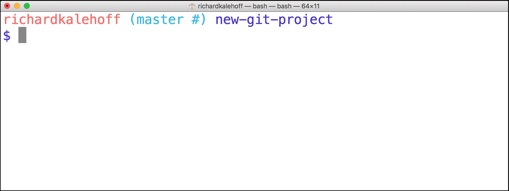 _终端应用的 GIF 动画。`git status` 命令在 `new-git-project` 项目中运行。_
