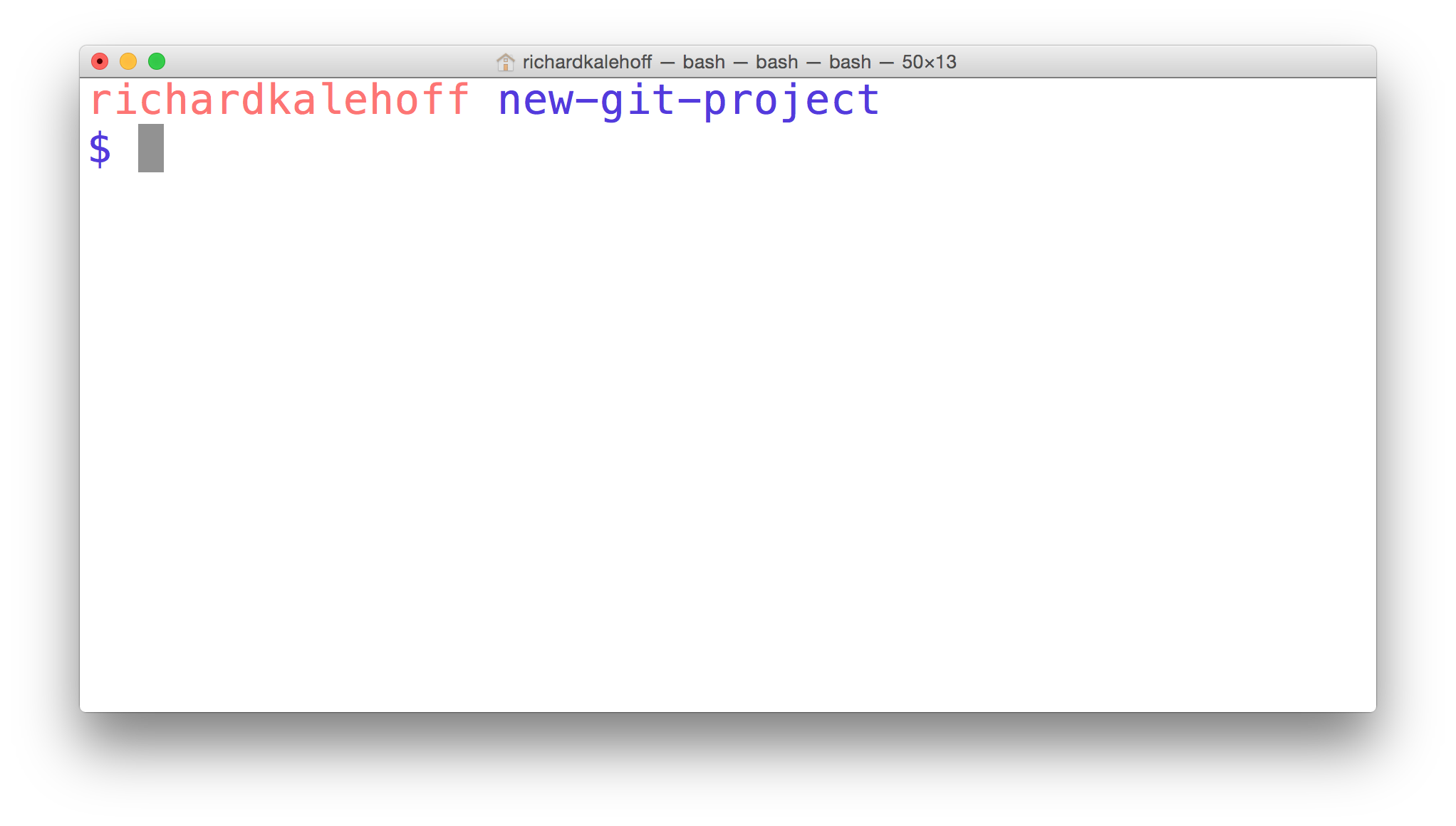 _位于 new-git-project 目录下的终端应用。_