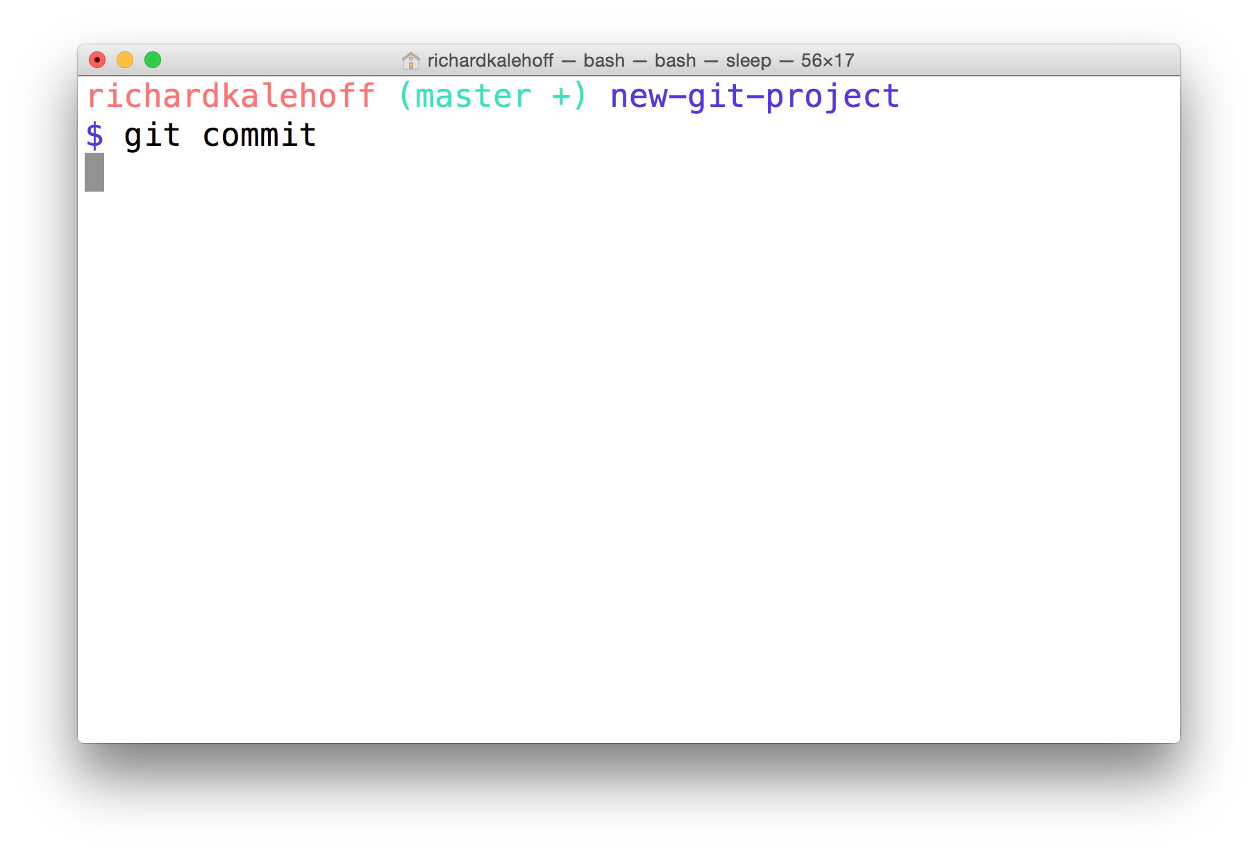 _终端显示 `git commit`，但是似乎被挂起并在等待中。_