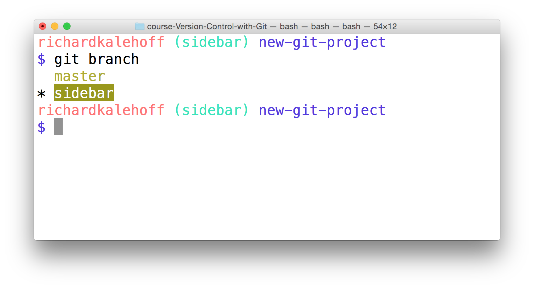 _终端显示了 `git branch` 命令的输出结果。活跃分支（这里是 "sidebar"分支）旁边有一个星号。_