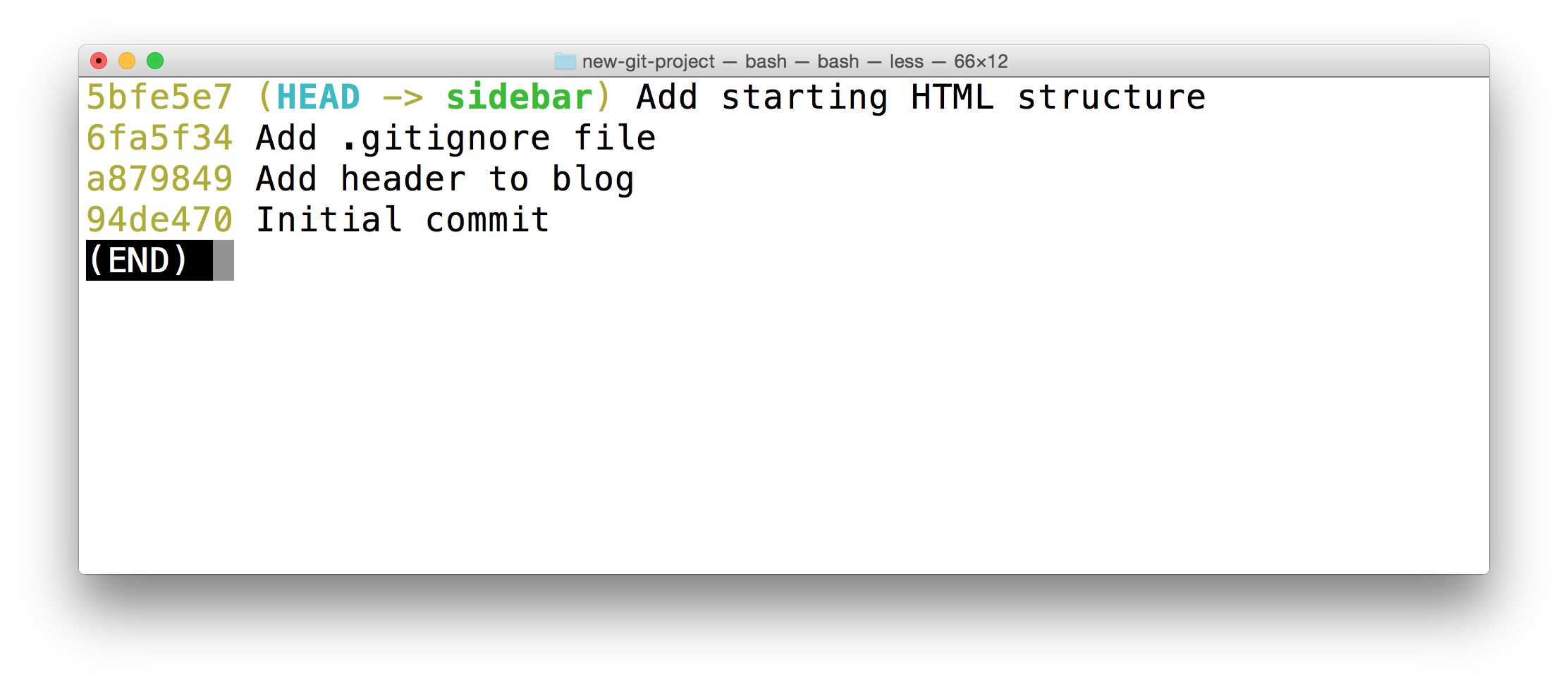 _终端显示了 `git log --oneline --decorate` 的输出结果。输出结果**不**包含 `master` 分支 - 它消失了。_