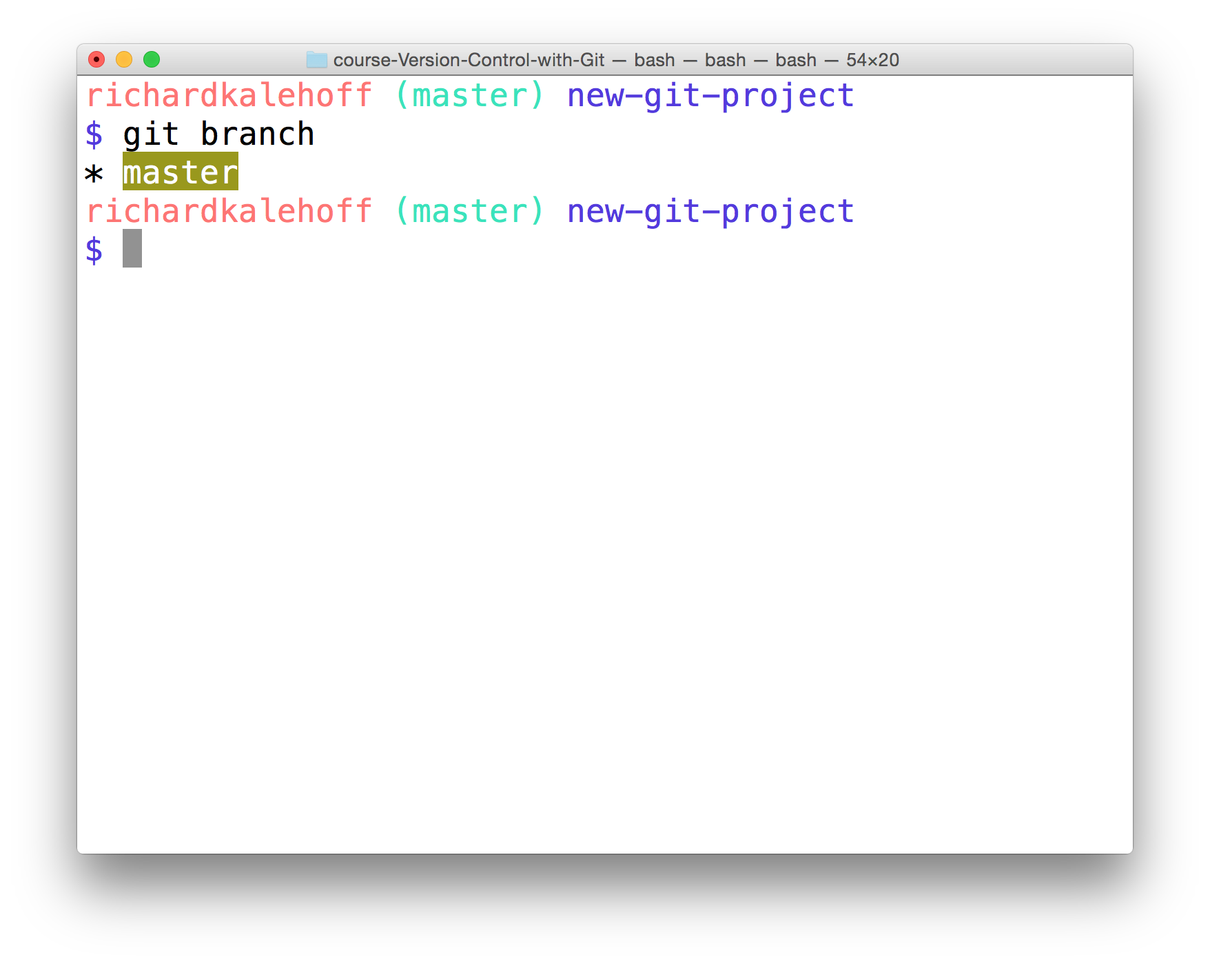 _终端显示了 `git branch` 命令的输出结果，并显示了 master 分支。_