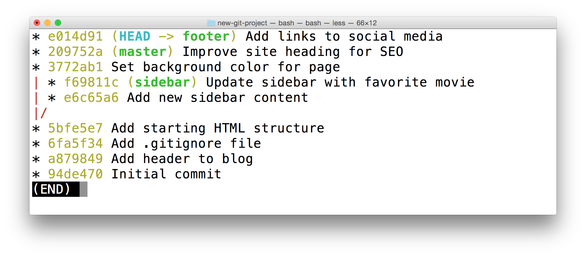 _终端显示了 `git log --oneline --graph --decorate --all` 的输出结果。它会显示仓库中的所有分支，以及所有 commit。_