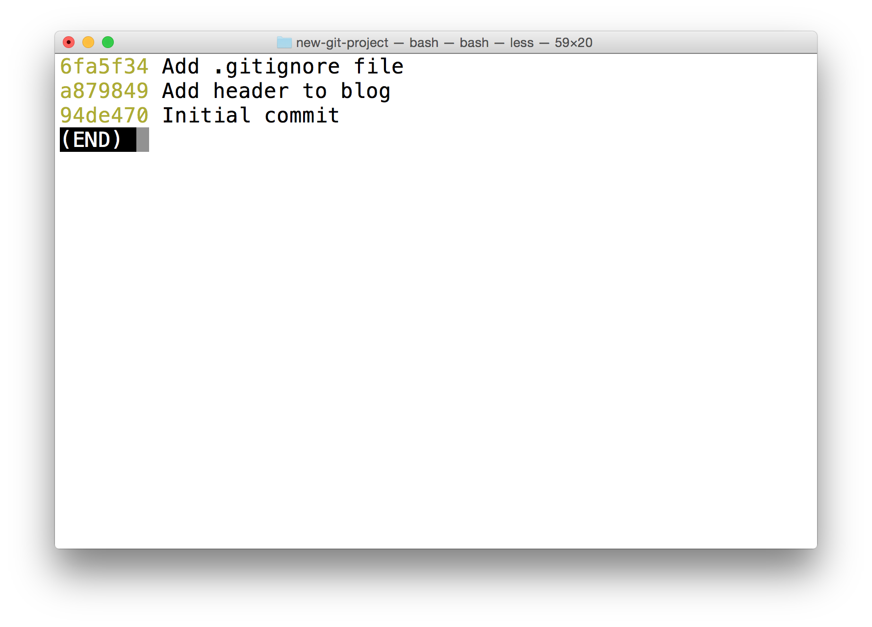 _终端显示运行 `git log --oneline` 后的输出结果。_