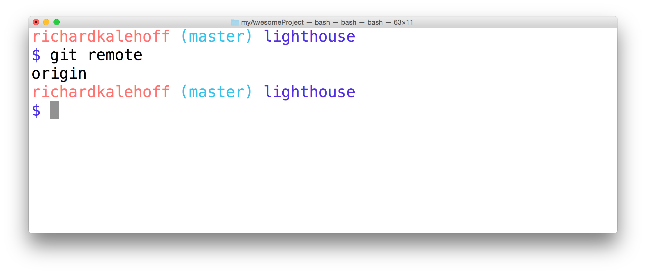 _终端正在运行 `git remote` 命令。它输出了单词 `origin`。_