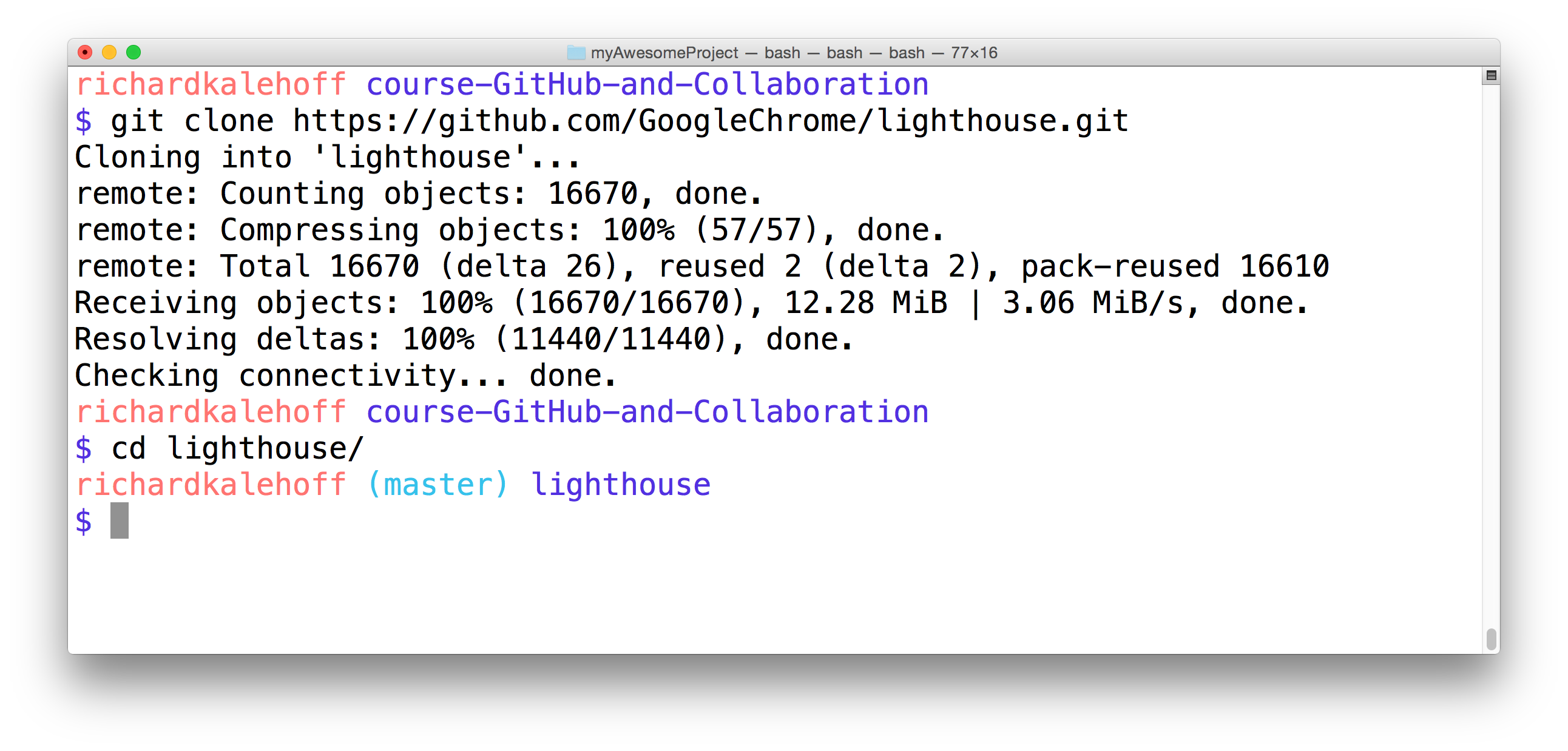 _从 GitHub 克隆 Google 的 Lighthouse 项目。_