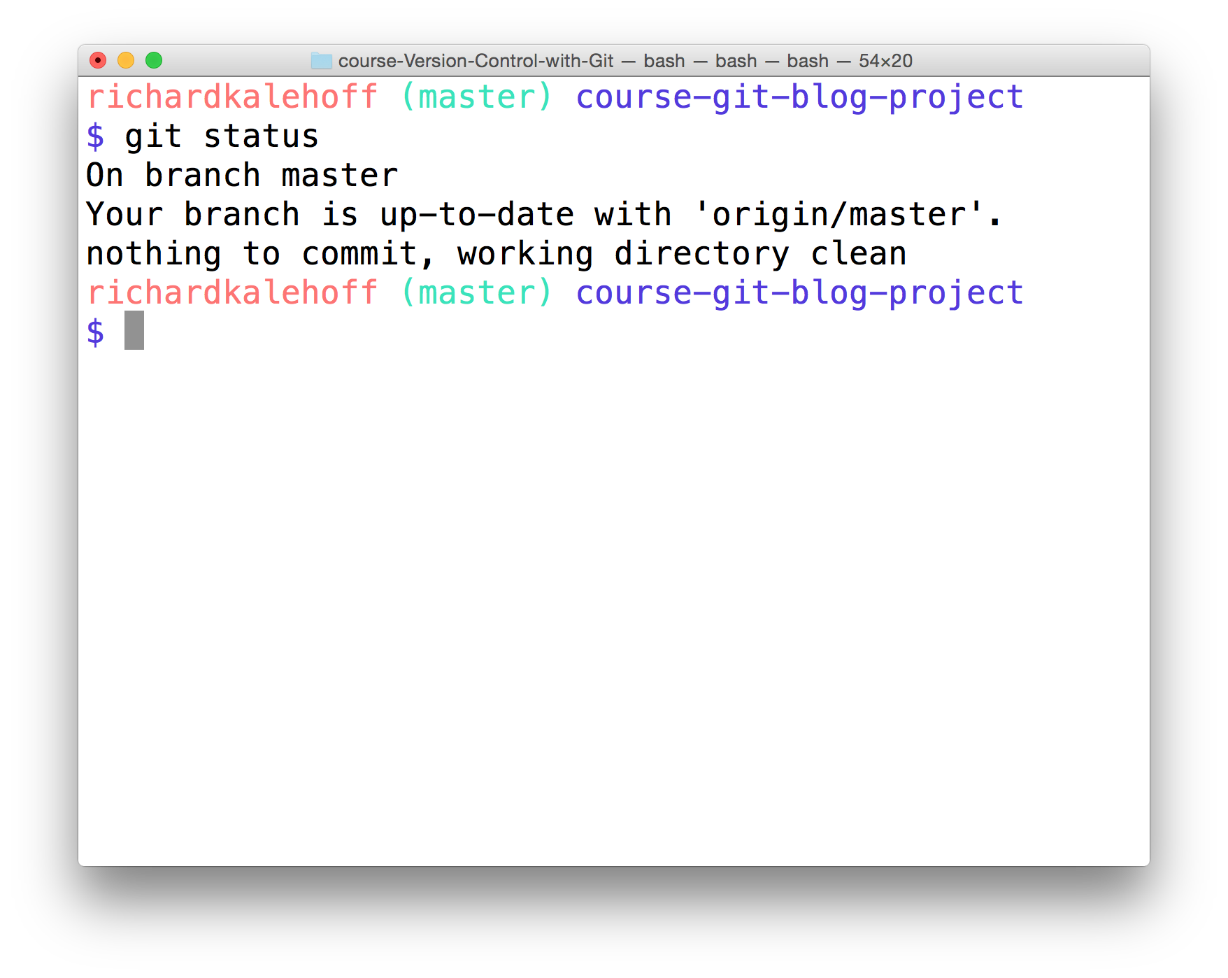 _The Terminal application showing the output of the `git status` command._