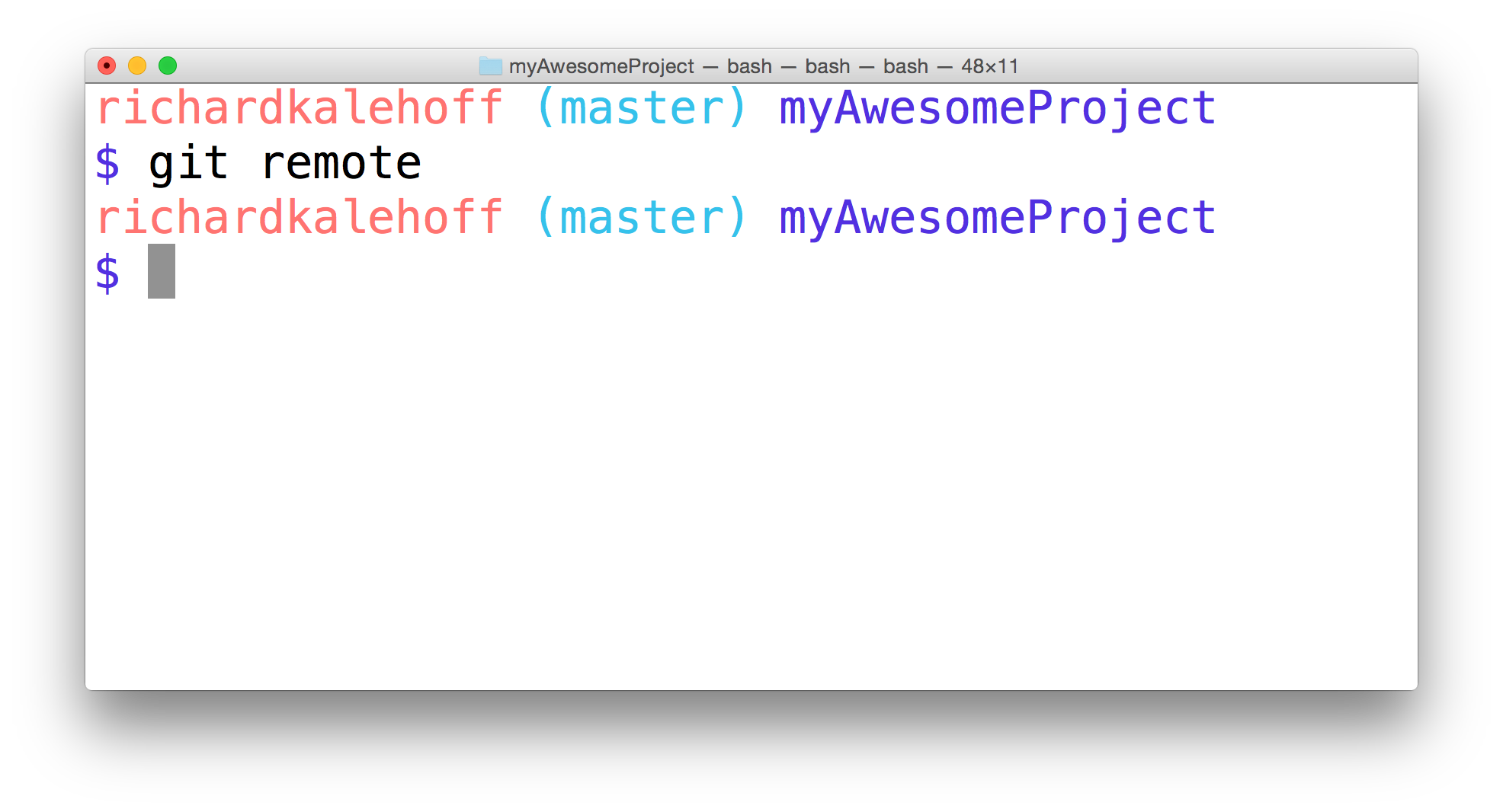 _The Terminal application running the `git remote` command. No output is displayed since this repository does not have a connection to a remote._